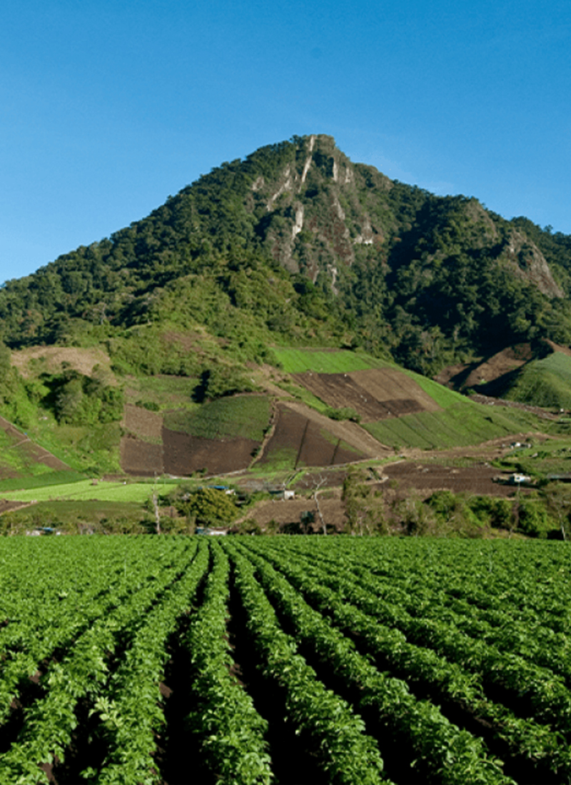 Chiriqui-f